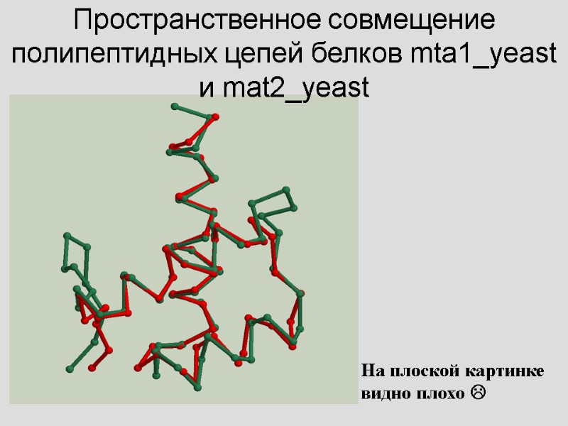 Пространственное совмещение полипептидных цепей белков mta1_yeast и mat2_yeast На плоской картинке видно плохо 